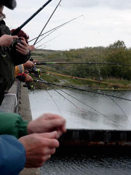 Angeln am Brouwersdam